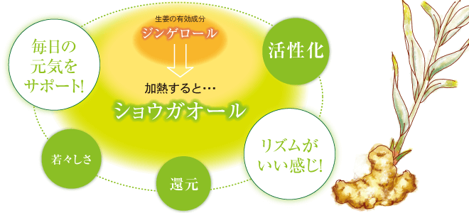 サジーによくあう しょうがみつ