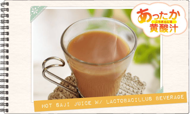 ホット乳酸菌飲料×サジー