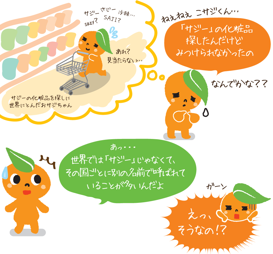 サジーは国によって呼ばれ方がたくさんある