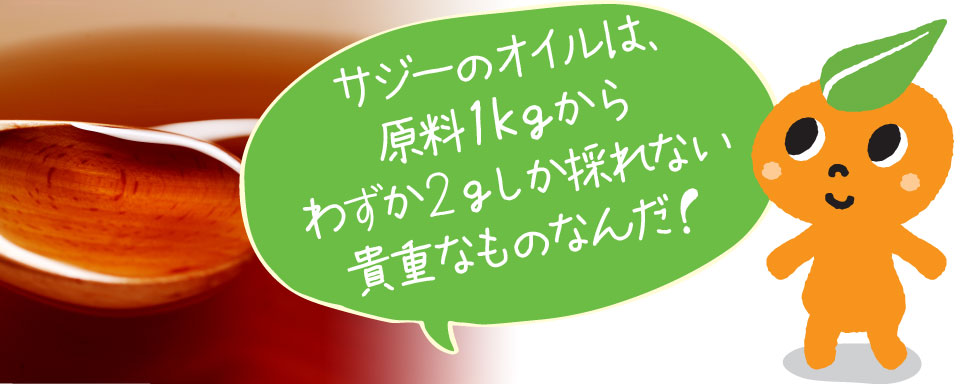 サジーのオイルは、原料1kgからわずか2gしか採れない