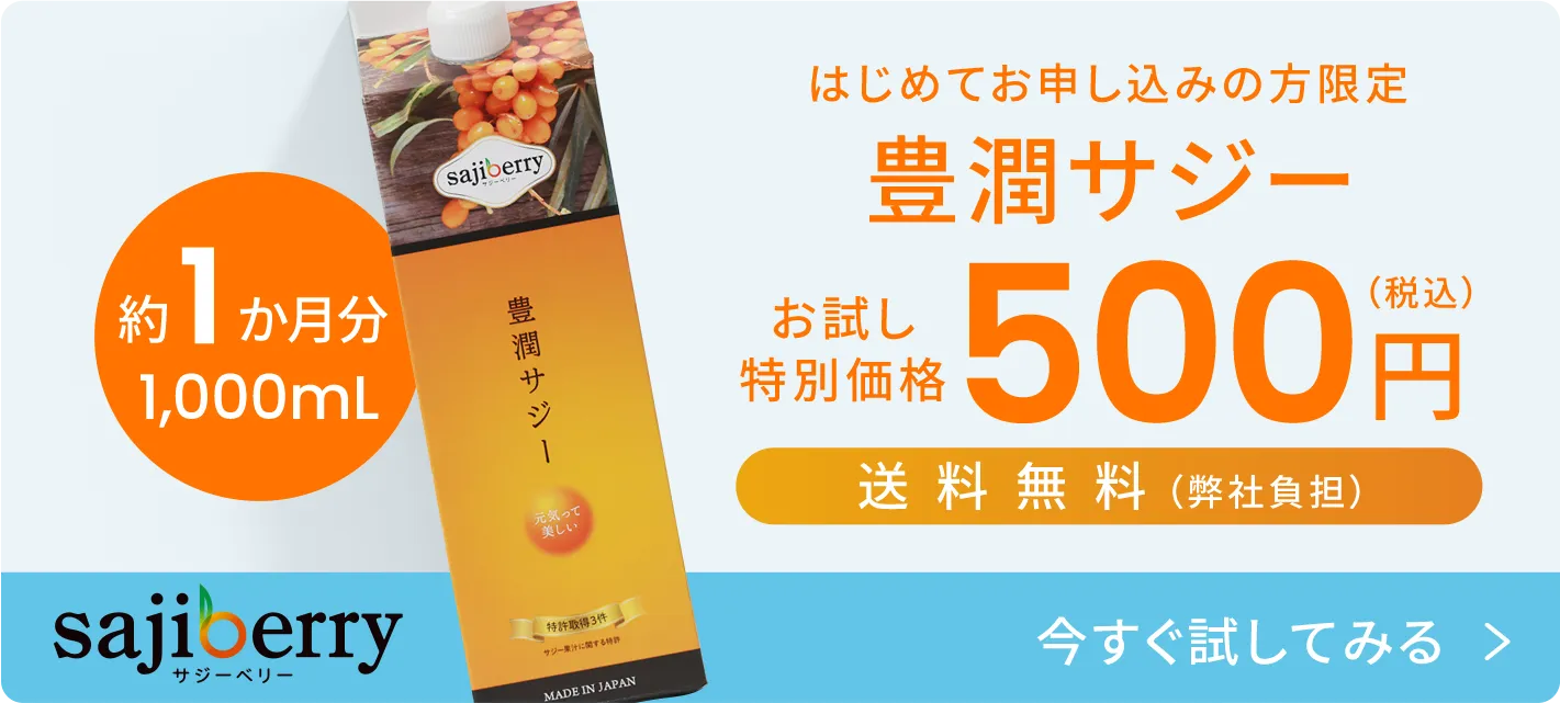 お試し特別価格500円 今すぐためしてみる