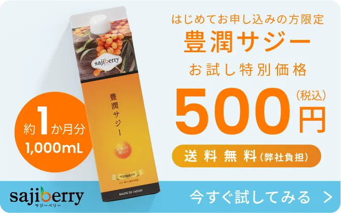 お試し特別価格500円 今すぐためしてみる