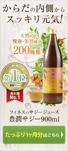 食品/飲料/酒豊潤サジー