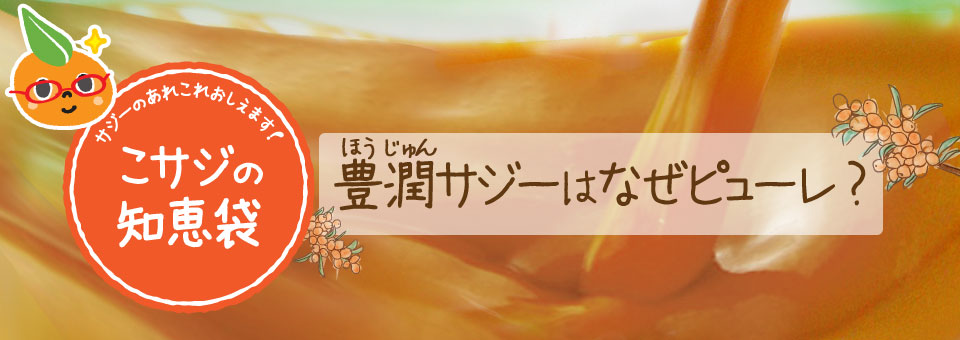 豊潤サジーはなぜピューレ?