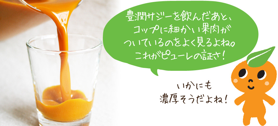 豊潤サジーは、サジーの豊富な栄養をそのままお届けできる「ピューレ」です