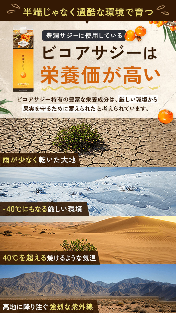 過酷な環境で育つ